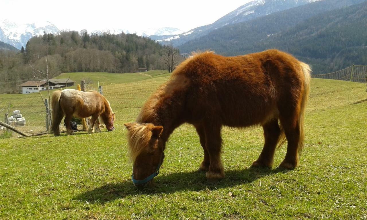 Vorderponholz Ferienwohnungen Ramsau bei Berchtesgaden Exterior photo